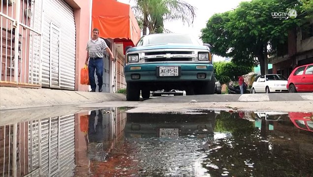 Sin freno, casos de dengue en Jalisco; la mitad de ellos son muy graves