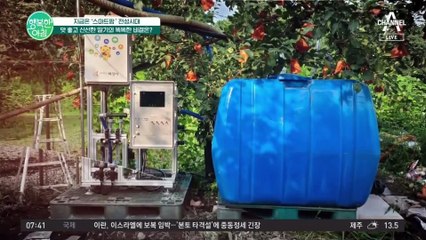 똑똑해진 기술력으로 신선한 딸기를 먹을 수 있다! 지금은 '스마트팜' 전성시대 #스마트팜