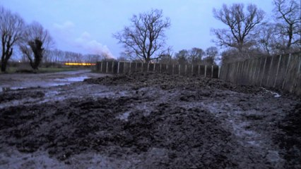 Sugar beet Problems - Part 1 - Episode 4