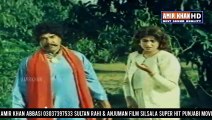 Sultan rahi & anjuman-bhan phar le-film silsala