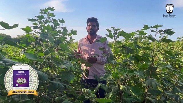 Shriram Sprayit Cotton: Revolutionizing Farming in Haryana