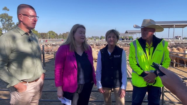 Additional $1.4M for eID sheep and goat tags | Area News | April 2024