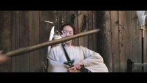 movie fighting clips Michelle YeohCrouching Tiger, Hidden DragonBest Fight Scene