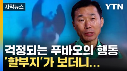 [자막뉴스] "이러 행동은"...푸바오 이상행동 의심에 강철원 사육사가 남긴 말 / YTN