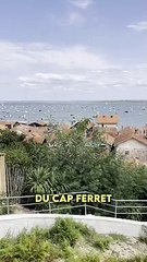 Le meilleur endroit au monde pour manger des huitres ?