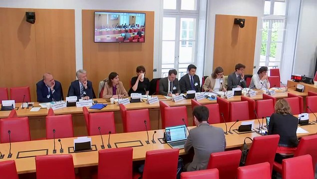 Commission des affaires culturelles : États généraux de l’information : Information dans les médias audiovisuels publics - Jeudi 11 avril 2024