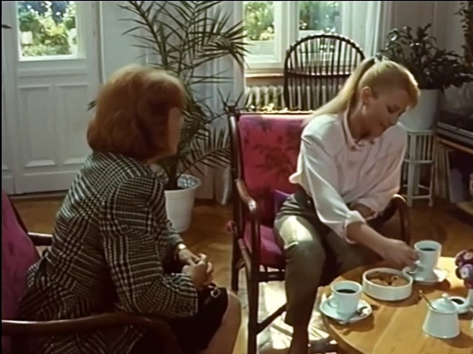 Drei Damen vom Grill - Ganze Serie - Staffel 9/Folge 6  'Das Auge des Gesetzes' - 1990
