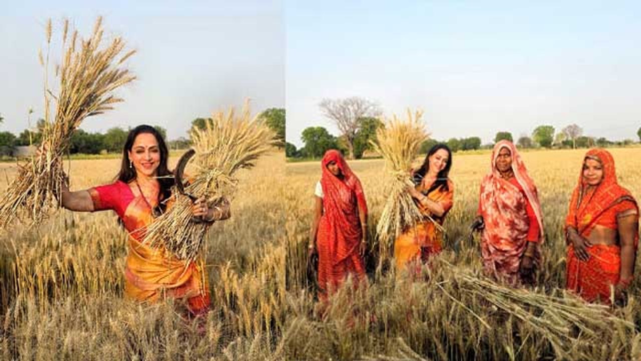 Hema Malini Harvests Wheat Crop During Poll Campaign In Mathura, Public Troll...| Boldsky