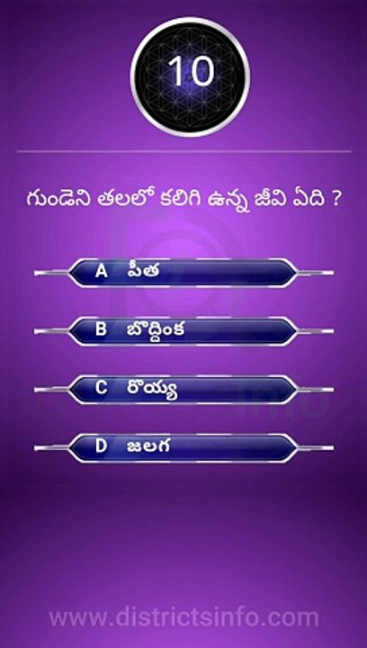 Interesting Questions Telugu