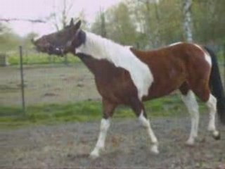 mon dadou en repérage