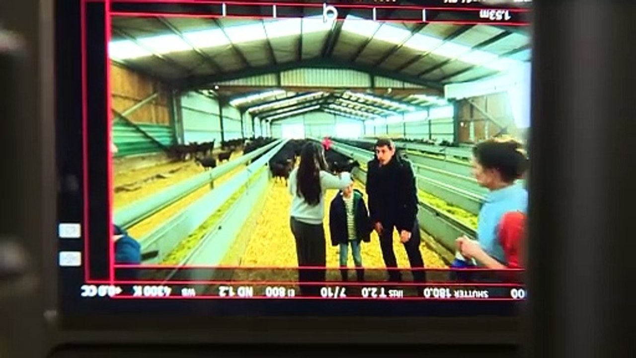 Consumir lácteos españoles, vital para el relevo generacional en el campo y cuidar la salud