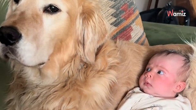 Le bébé découvre son grand frère pour la première fois : 513K personnes explosent de rire devant sa réaction (vidéo)