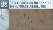 Brasil concentra quase 70% dos casos de dengue da América Latina e Caribe