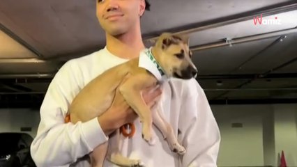 Des joueurs de basketball de la NBA créent la surprise en arrivant au stade avec plusieurs chiots