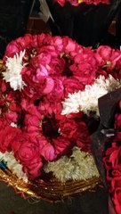 Red Rose #viral #trending #foryou #reels #beautiful #love #funny #delicious #fun #love #yummy