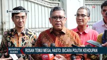 Kata Ketua TKN Prabowo-Gibran, Rosan Roeslani soal Lebaran ke Rumah Megawati