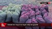 Üsküdar’da 1 buçuk ton kaçak midye ele geçirildi