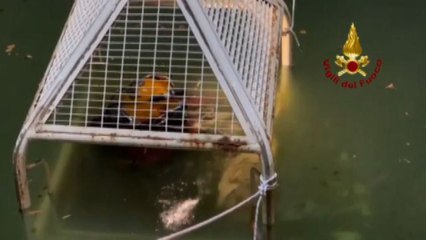 Suviana, recuperato ultimo disperso: bilancio definitivo 7 morti