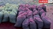 Üsküdar'da 1 buçuk ton kaçak midye ele geçirildi