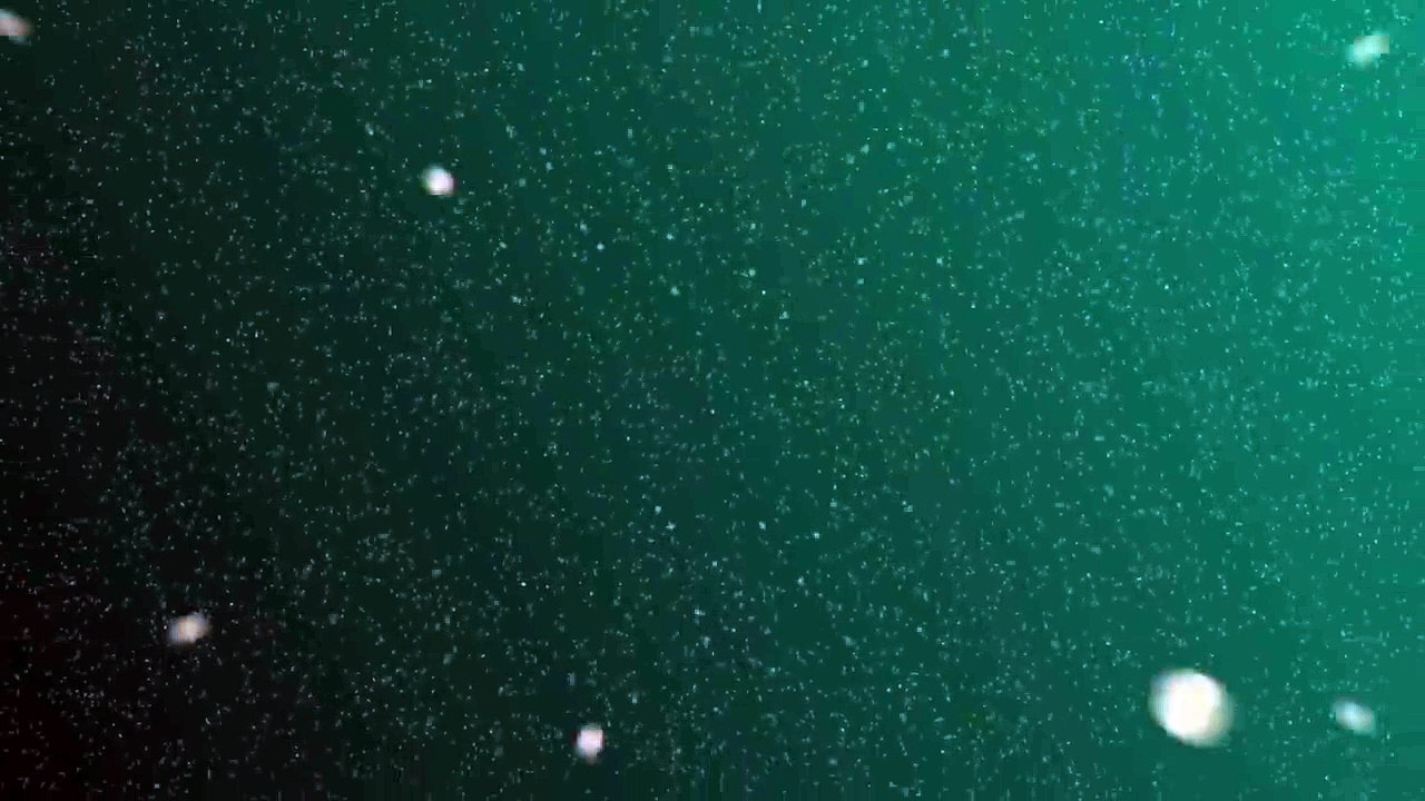 Flying Boats The Incredible Development Of Sea Planes The Amazing World of Aviation