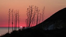 Las mejores playas del Cabo de Gata