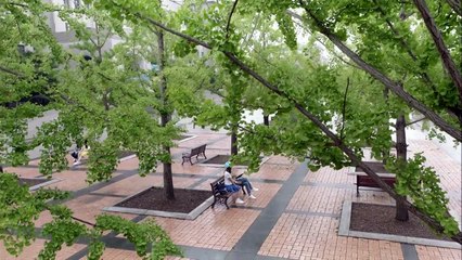 School 2017 - E01 - 720p