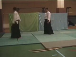 art martiaux comique