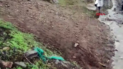 Kâbus geri döndü! Mahalleli özel giysi giyerek toprağa verdi