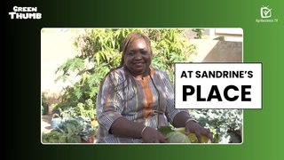 Green Thumb: At Sandrine's place