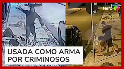 Cadela 'assaltante' é resgatada e entregue a adoção no Paraná