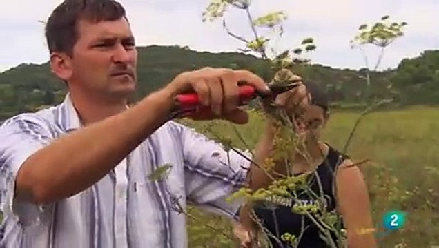 Croacia: El Expreso de los Balcanes – Un Viaje por Historia, Cultura y Paisajes Inolvidables