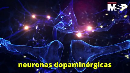 Párkinson: las razones detrás de los síntomas (temblor, rigidez y más) - #ExclusivoMSP