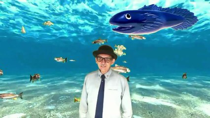 HOROSCOPO DO PIMPÃO Nº 10 - 4ª PARTE - SÉRIE VELHO PALHAÇO.