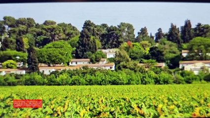 تحریف تاریخ - جمعه 24 فروردین 1403