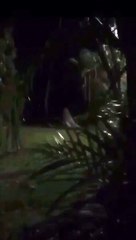 Graban a la Llorona en Comayagua