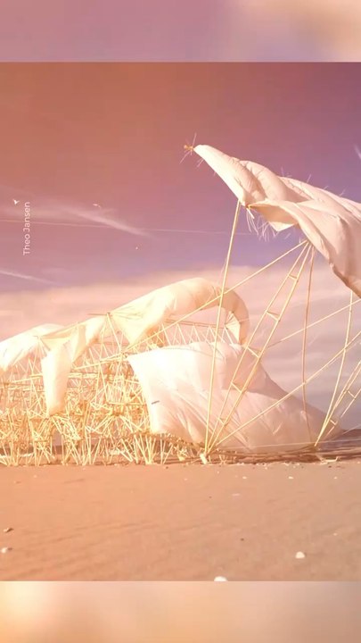 Abonne-toi pour suivre d’autres solutions positives !     @theimpactstory   Source : Theo Jansen  #design #art #oeuvresdart #sculpture #vent #peinture