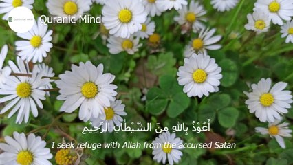 Surah Al-Fatihah Recitation Really Beautiful Amazing Reaction