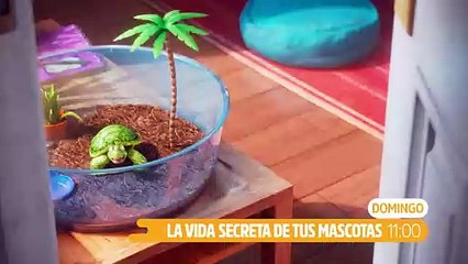 La vida secreta de tus mascotas