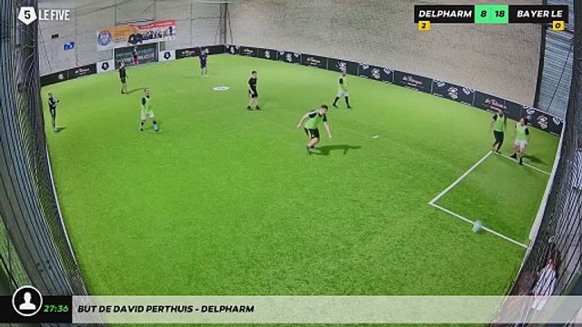 But de DAVID PERTHUIS - DELPHARM