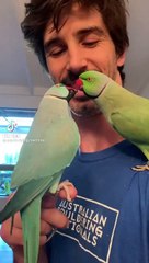 the parrot fun with man capture video