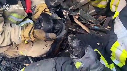 Cães resgatados, Sumy, Ucrânia,