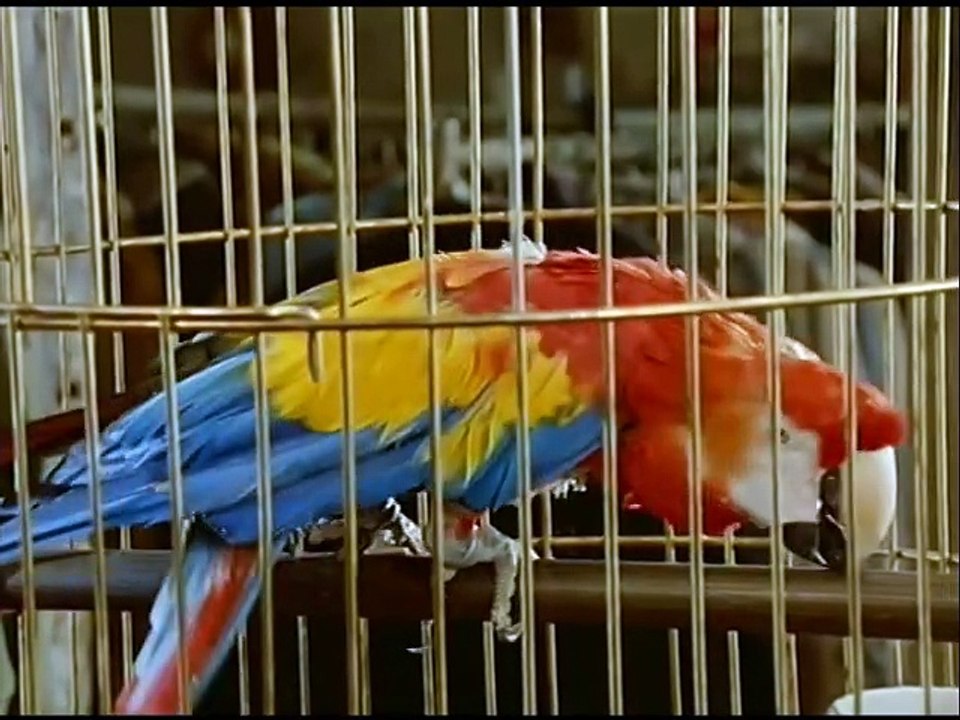 Drei Damen vom Grill - Ganze Serie - Staffel 10/Folge 4  'Wenn die Liebe hinfällt' - 1990