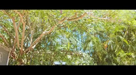 Marcel Piel Morena - Empleados en Navidad (2022)