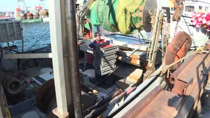 Crevette : un pêcheur renonce