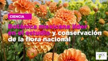 Botánica mexicana líder en el estudio y conservación de la flora nacional