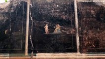 Pompeii's stunning secret is uncovered after 2,000 years: Archaeologists are amazed to discover a 'high quality' fresco depicting Helen of Troy during excavations at the ancient Roman city