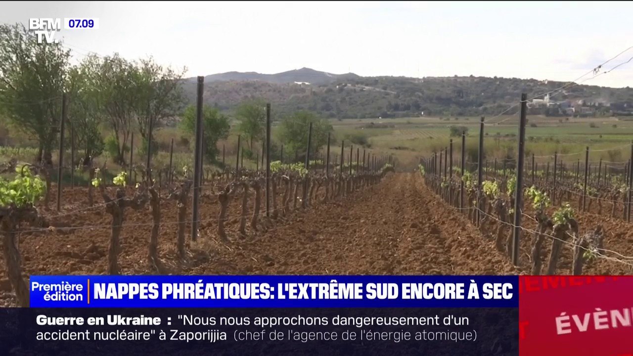 "C'est terrible de tout perdre": un viticulteur des Pyrénées-Orientales touché par l'extrême sécheresse témoigne