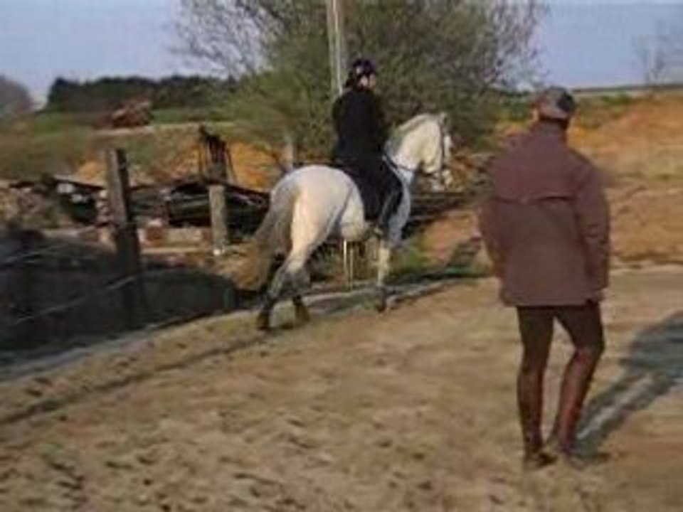 cours de dressage 8 avril 2008