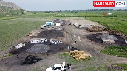 Çukurova sıcağında narenciye odunları mangal kömürüne dönüşüyor