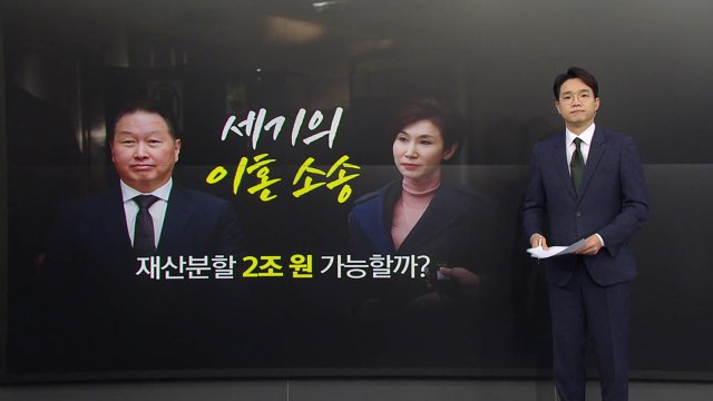 최태원·노소영 '세기의 이혼 소송'... 재산분할 '2조 원' 가능할까? [앵커리포트] / YTN